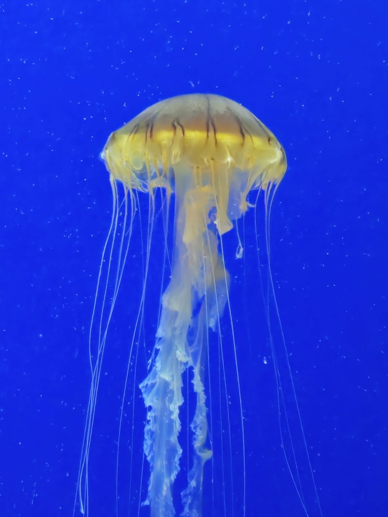 20250421_123702.jpg
