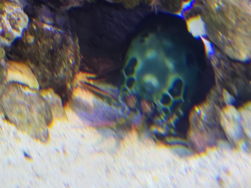 20250421_123917.jpg