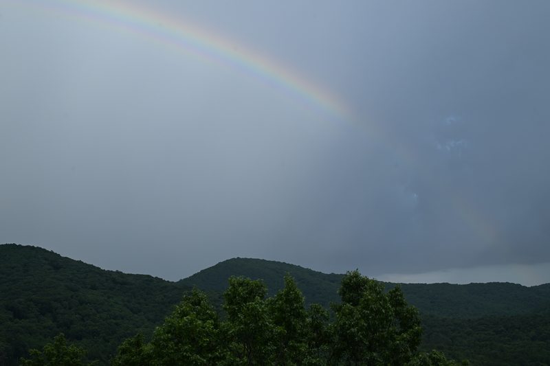 DSC_0719.JPG