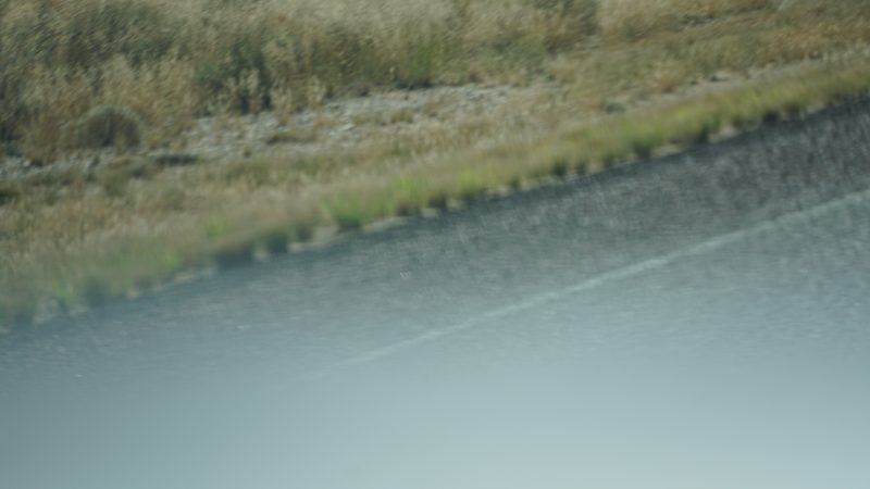 DSC01316.JPG